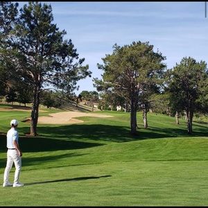 Meet your Posher, Tony